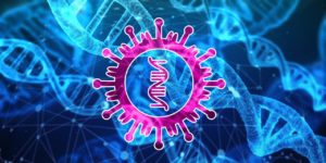 https://pixabay.com/es/illustrations/coronavirus-el-sars-cov-2-pulm%C3%B3n-4844620/