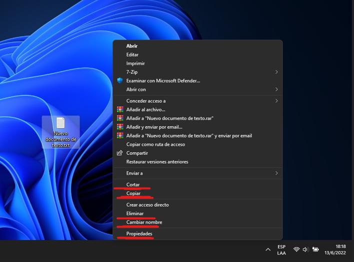 opciones: copiar, pegar, eliminar, cambiar nombre en windows 11